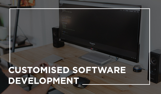 customised software development company in mumbai